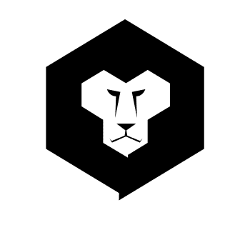 Company 6